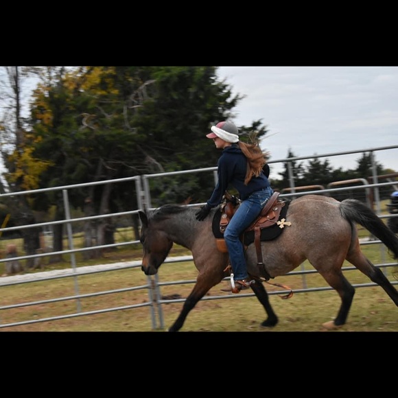 Meet your Posher, Breyer - Picture 5 of 10